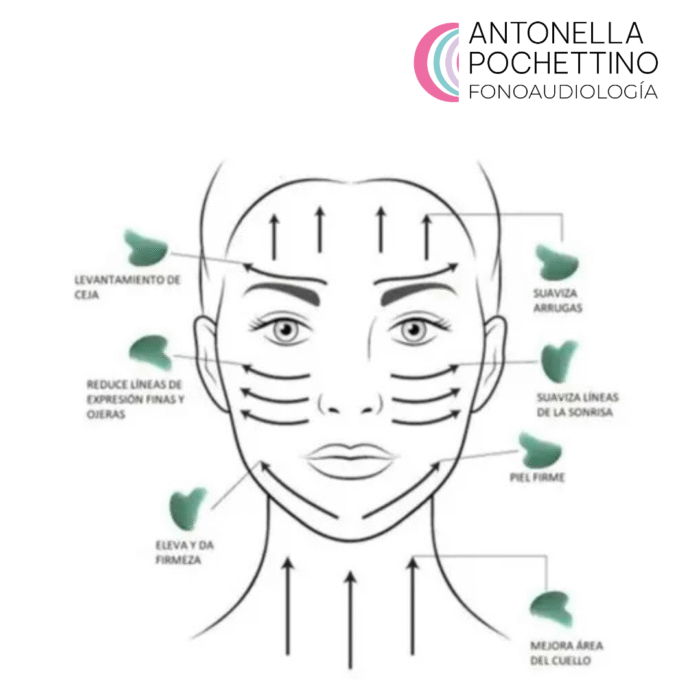 Kit Fonoestética - Imagen 2